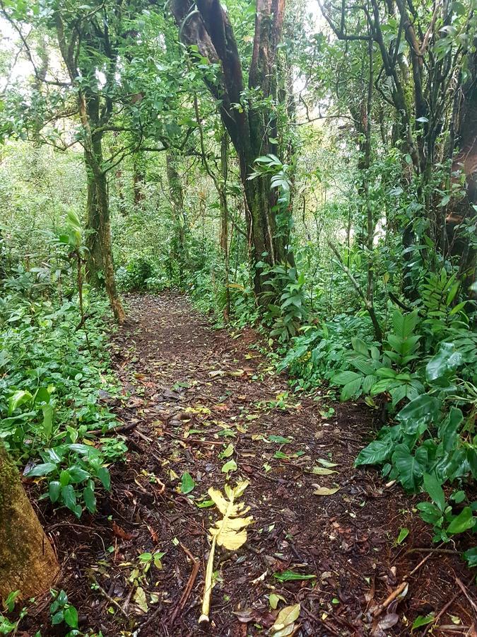 Casa El Granero Monteverde Luaran gambar